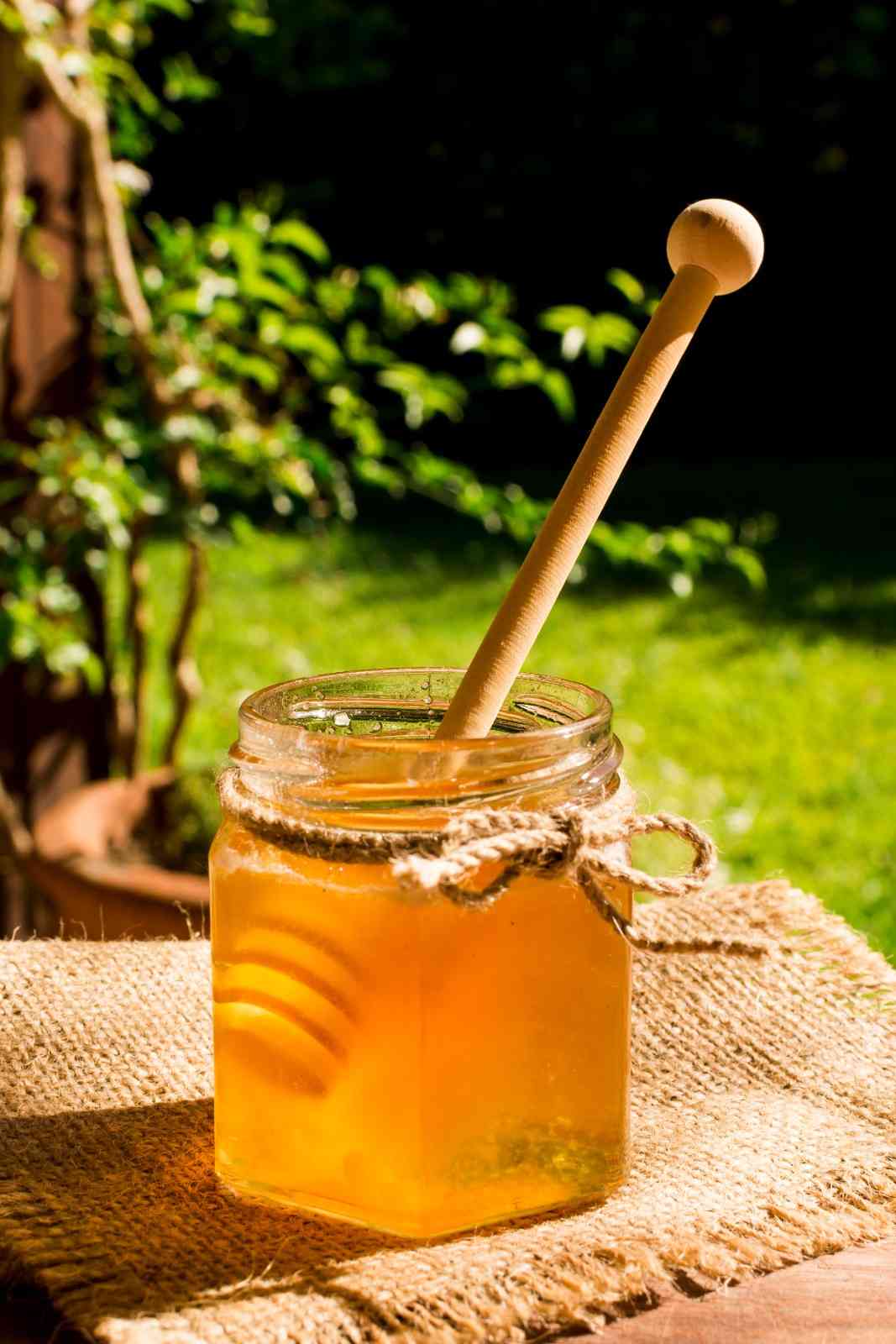 The Health Benefits of Organic Honey